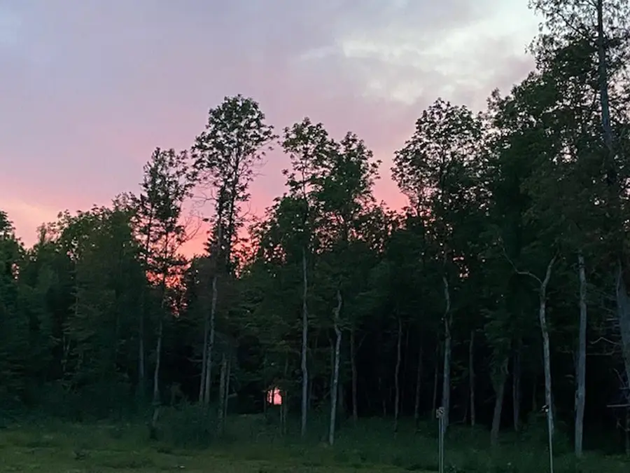 10943 Hwy 23, Orr, MN 55771 - Image #3