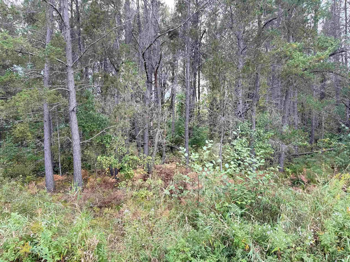 0000 Old Odanah Rd, Ashland, WI 54806 - Image #1