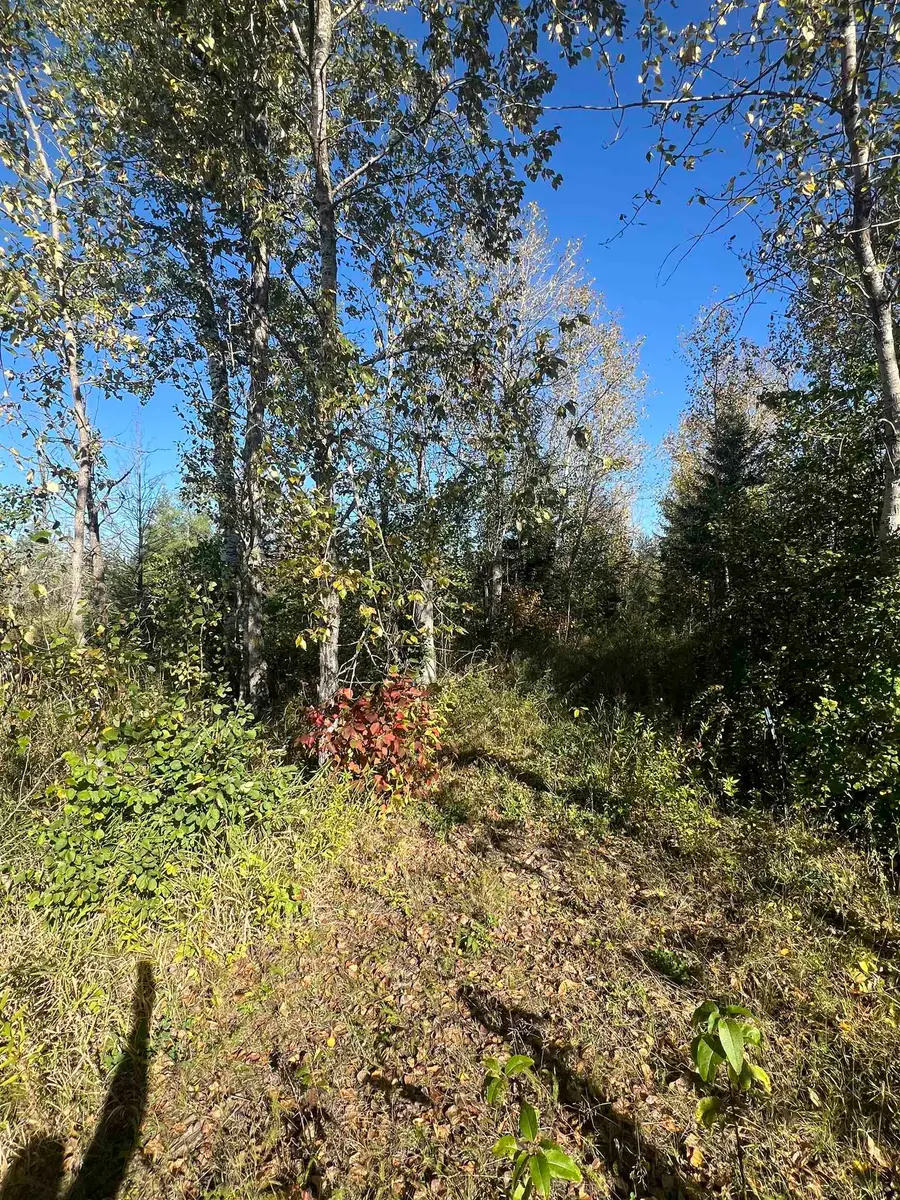 XXX Hwy 133, Meadowlands, MN 55765 - #2