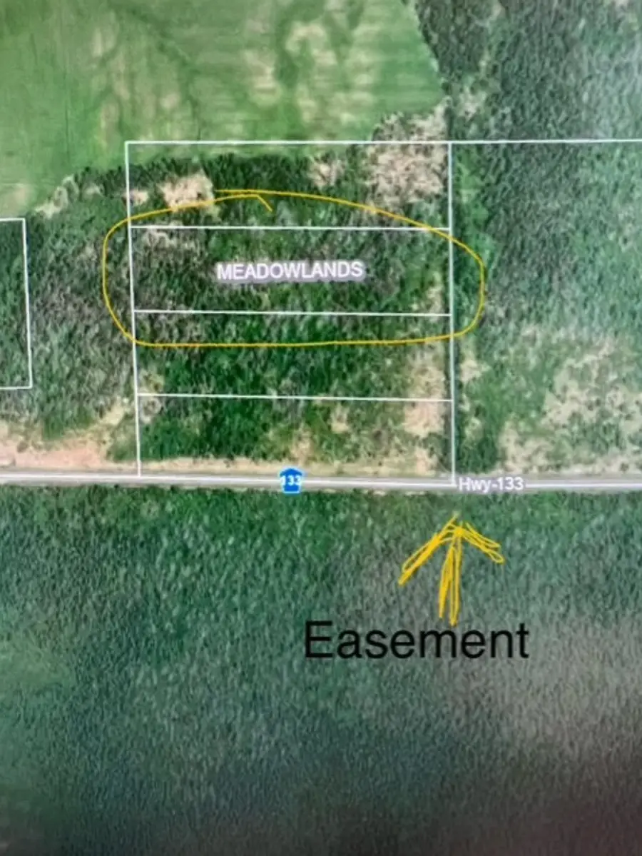 XXX Hwy 133, Meadowlands, MN 55765 - #3