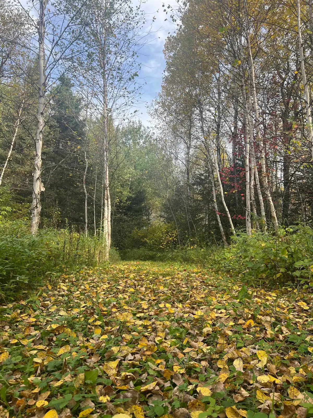 5445 Little Marais Rd, Finland, MN 55603 - Image #1