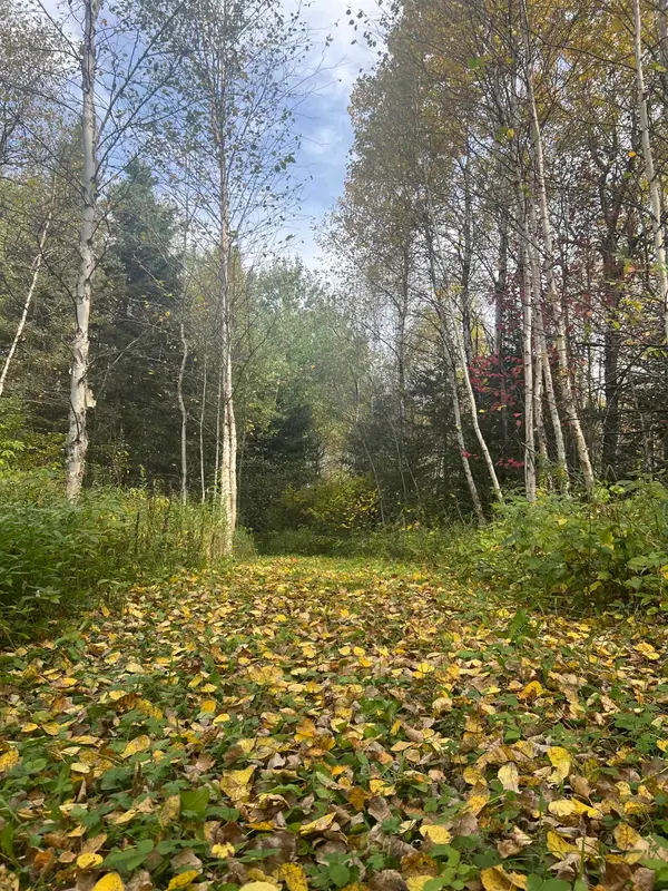 5445 Little Marais Rd, Finland, MN 55603