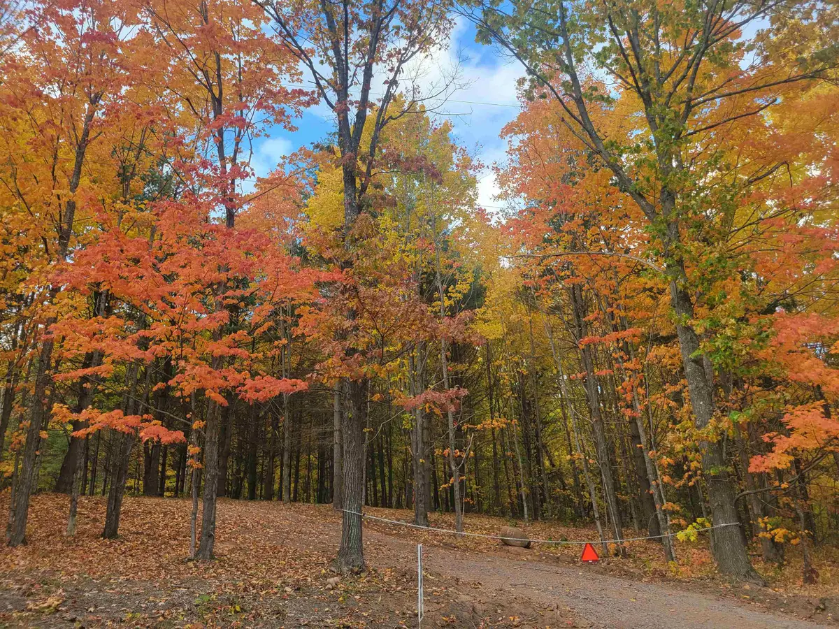 11xxx Old Military Rd, Bayfield, WI 54814 - Image #1