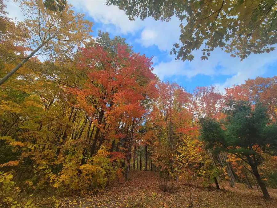 11xxx Old Military Rd, Bayfield, WI 54814 - Image #3