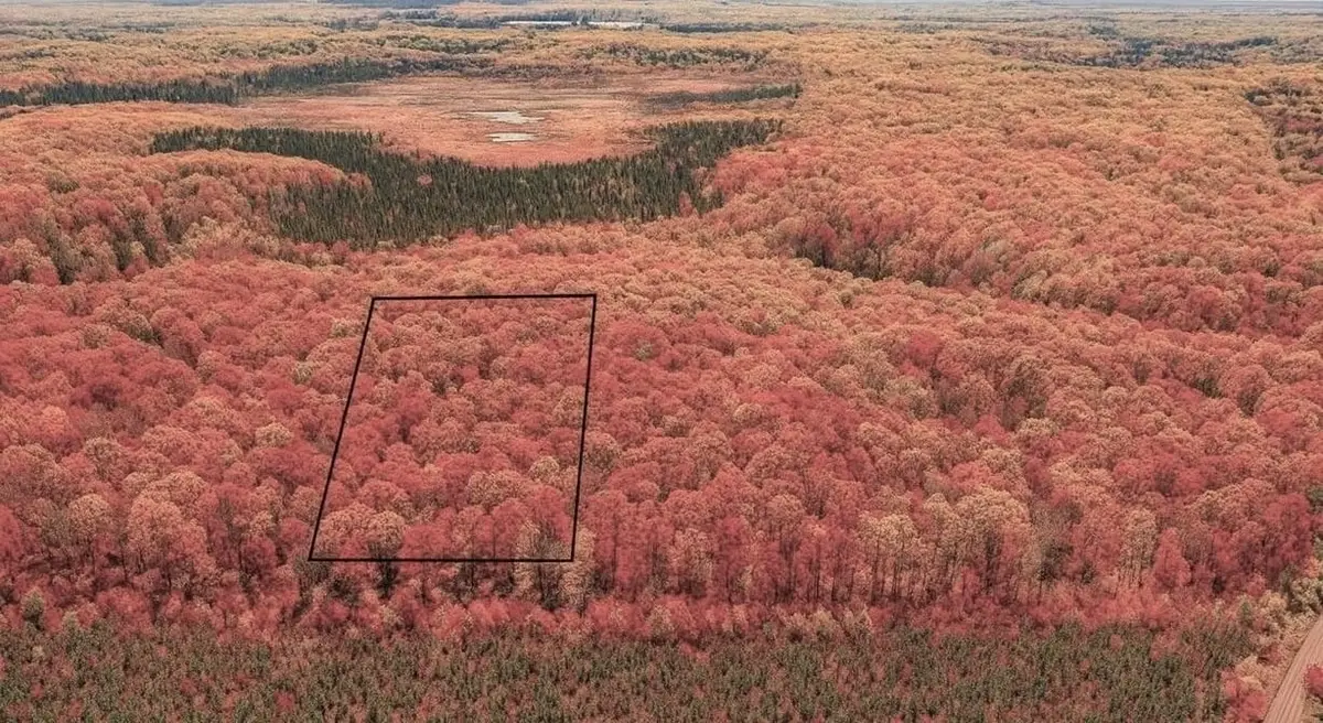 TBD Lot #4 Tressel Trail, Iron River, WI 54847 - Image #1