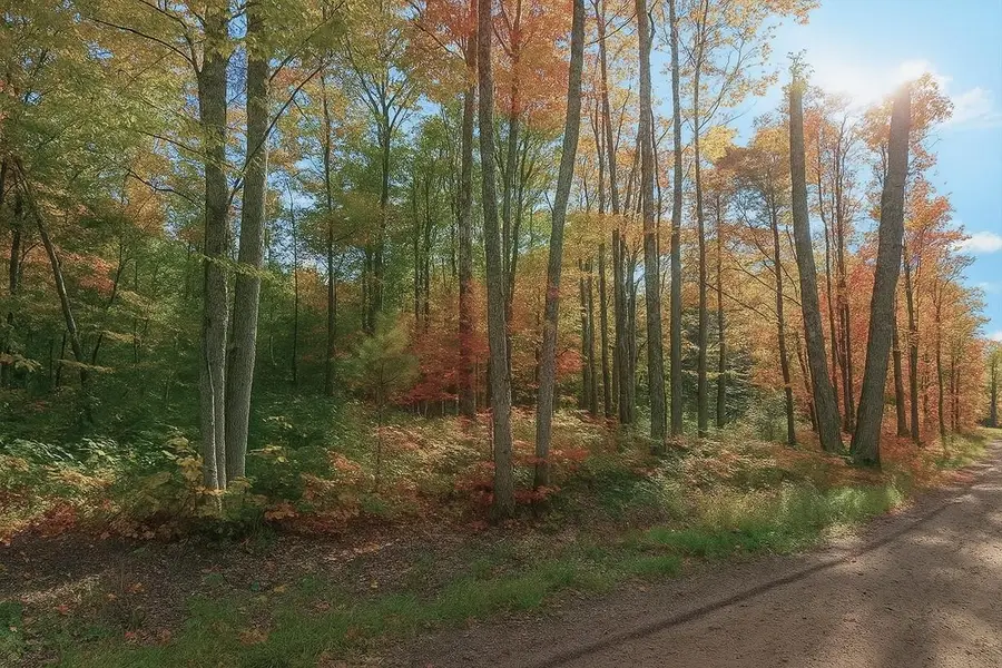 TBD Lot #4 Tressel Trail, Iron River, WI 54847 - Image #3