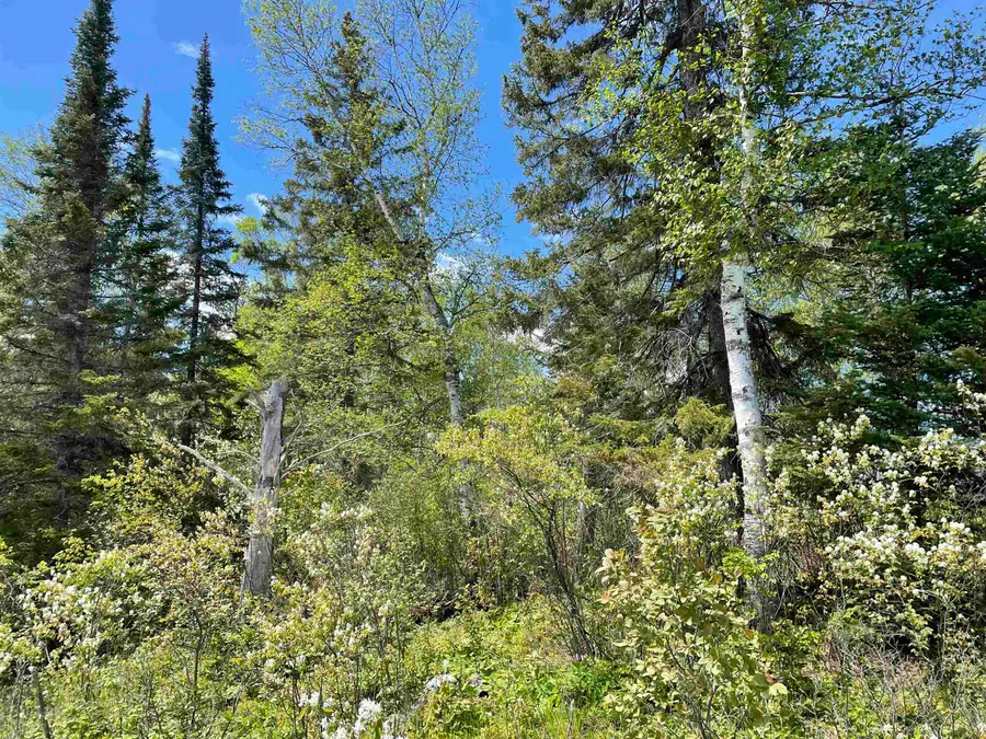 XXXX Murray Forest Rd, Ely, MN 55731 - Image #3