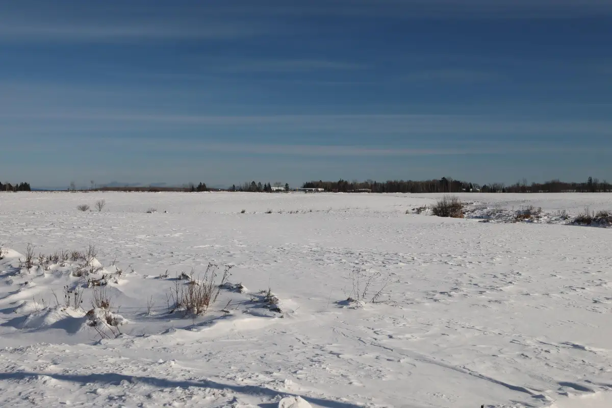 64XXX Pezderic Rd, Mason, WI 54856 - Image #1