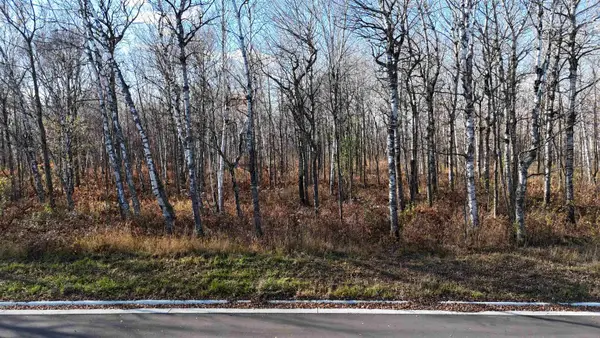 xxxx Yellow Birch Trail, Duluth, MN 55810