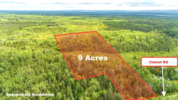 TBD Comet Rd, Embarrass, MN 55732