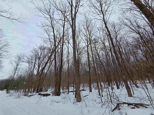 119XX Olson Rd, Hayward, WI 54843