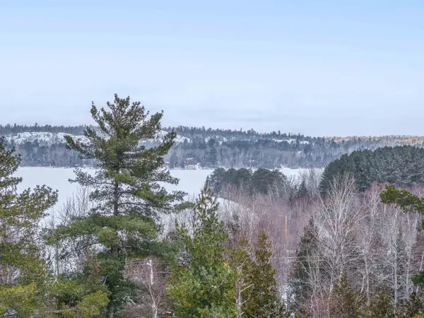 TBD Trezona Dr, Ely, MN 55731-0000