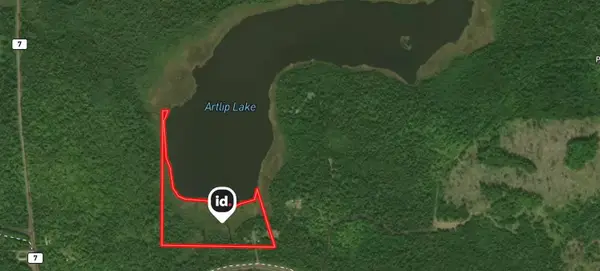 9426 Cramer Rd, Finland, MN 55603