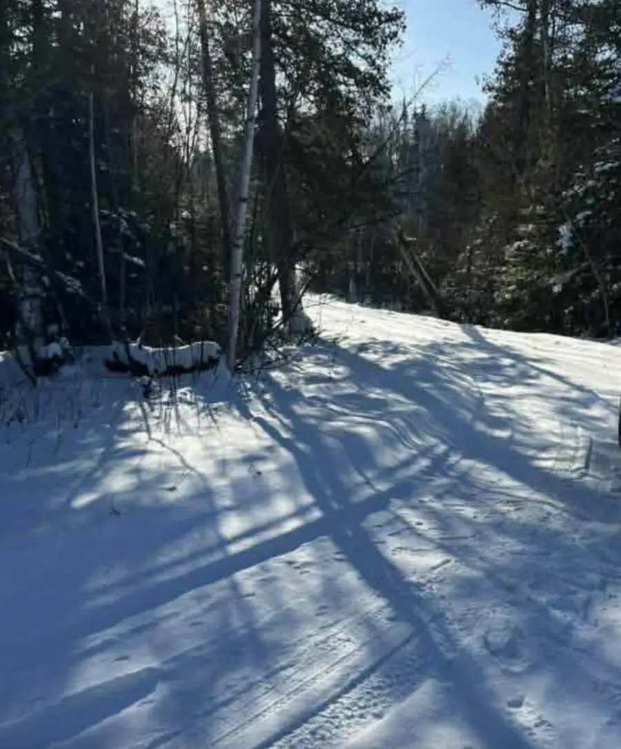 9426 Cramer Rd, Finland, MN 55603 - #3