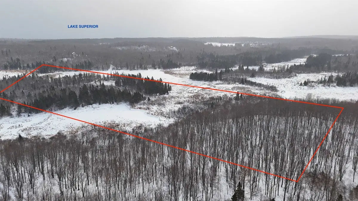 XXX Zeke's Rd, Schroeder, MN 55613-4336 - Image #1