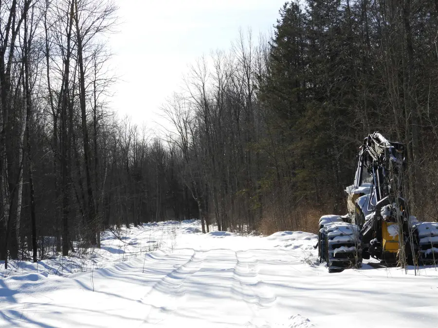 W1149X County Rd W, Phillips, WI 54555 - #3