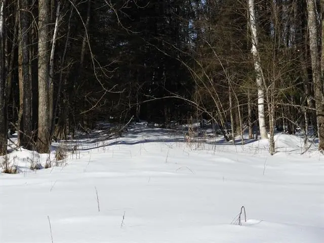 N8357 Down River Rd, Phillips, WI 54555 - #1