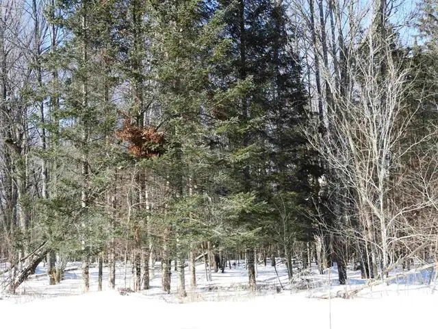 N8357 Down River Rd, Phillips, WI 54555 - #3