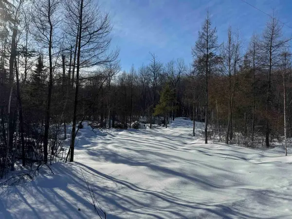 Lot 2 Eaton Rd, Hayward, WI 54843