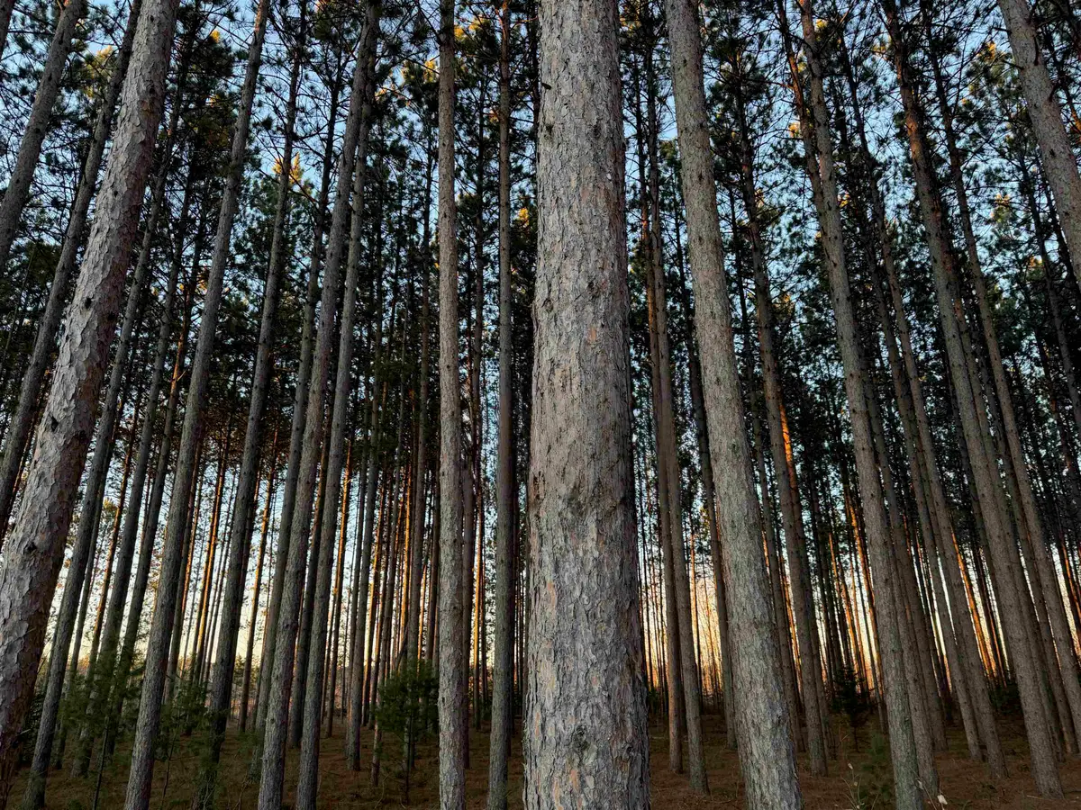 Lot 2 Jenny Ln, Hayward, WI 54843 - #1
