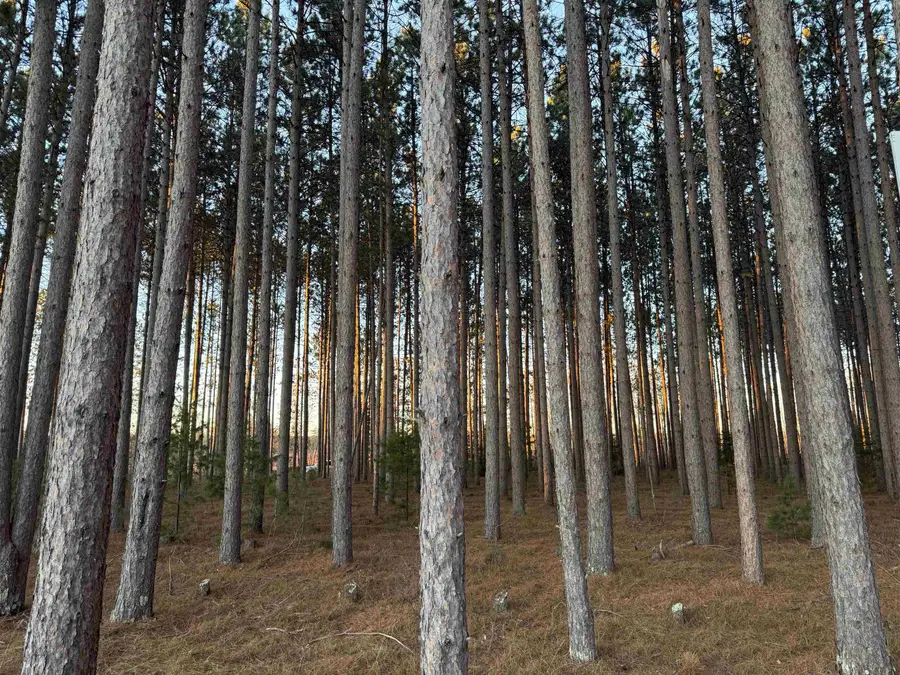 Lot 2 Jenny Ln, Hayward, WI 54843 - #2