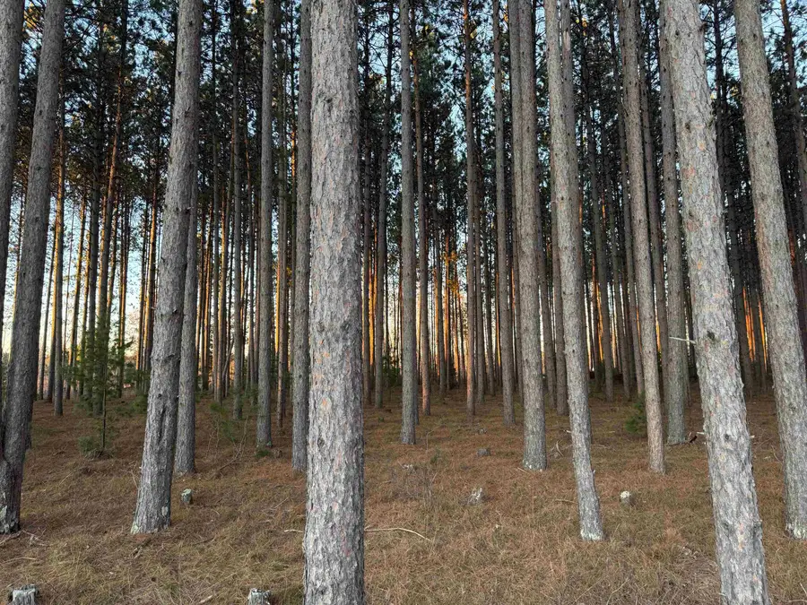 Lot 2 Jenny Ln, Hayward, WI 54843 - #3