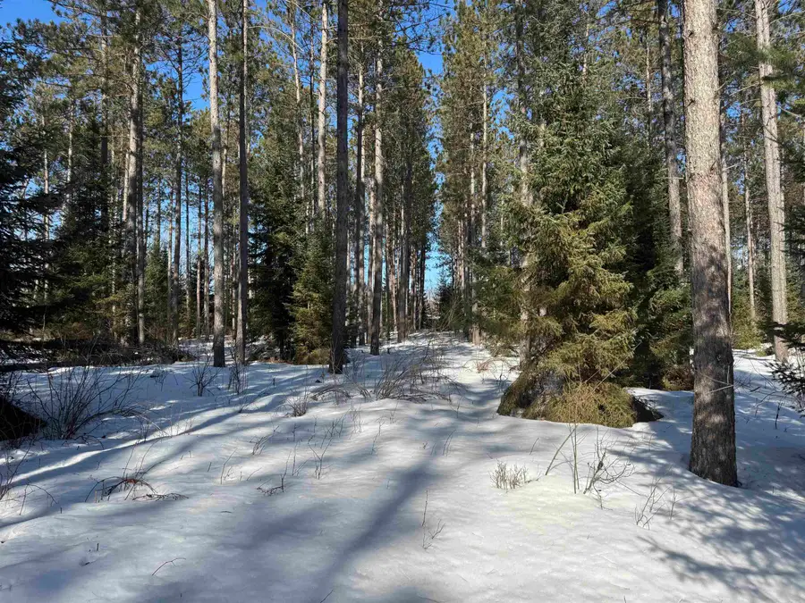 Lot 92 Haakon Ln, Hayward, WI 54843-0000 - #3
