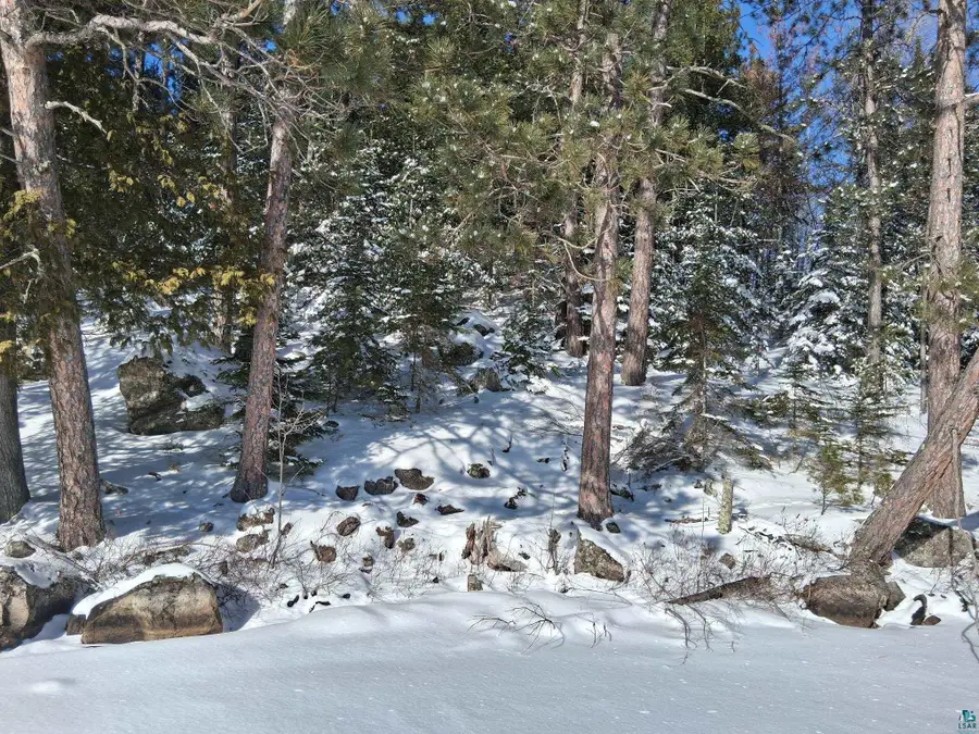 xxxx N North Arm W, Cook, MN 55723 - #2