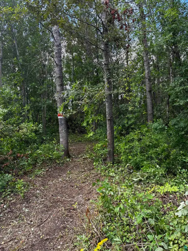 2xx S 63rd Ave W, Duluth, MN 55807