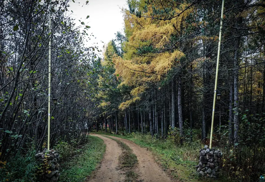 7839 Stromberg Rd, Embarrass, MN 55732 - #3