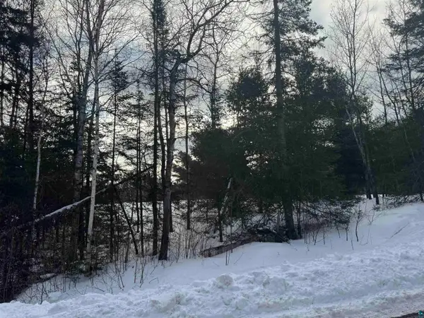 XXX B Locust Rd, Duluth, MN 55803