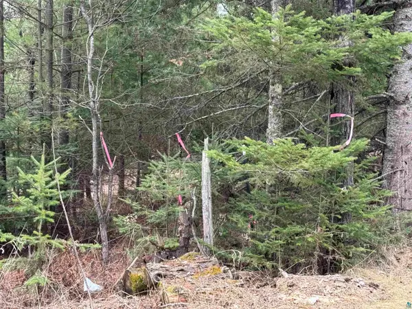 XXX A Locust Rd, Duluth, MN 55803