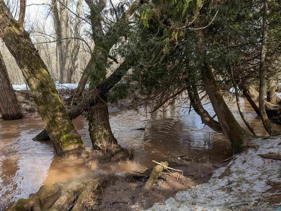 10550 Flagg River Rd, Port Wing, WI 54865 - #2