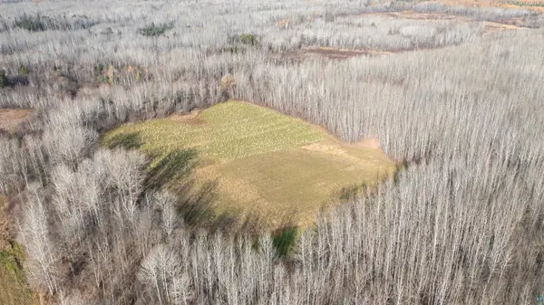 11680 County Rd 59, Gheen, MN 55771