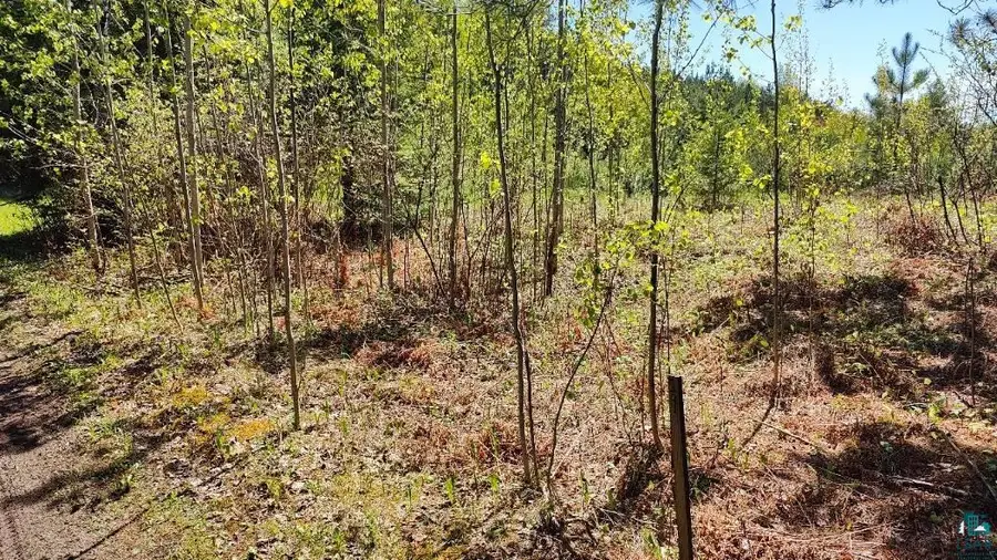 80012 Conifer Crest, Tower, MN 55790 - #3