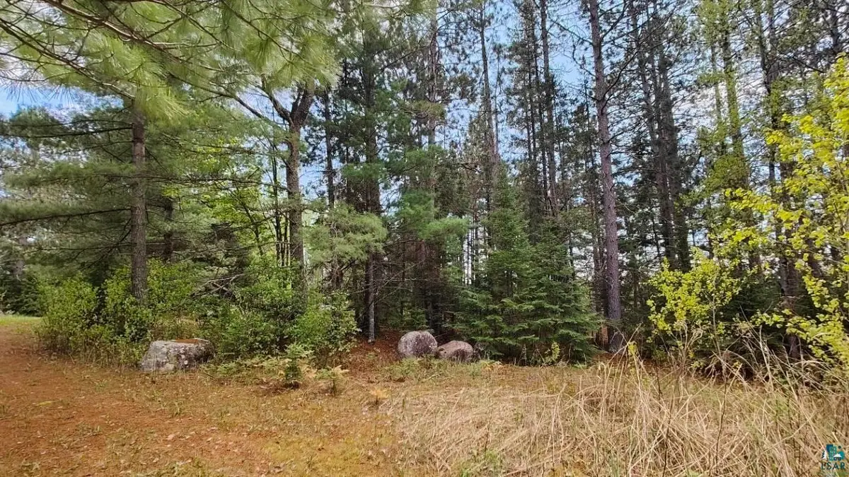 80064 Osprey Pass, Tower, MN 55790 - #1