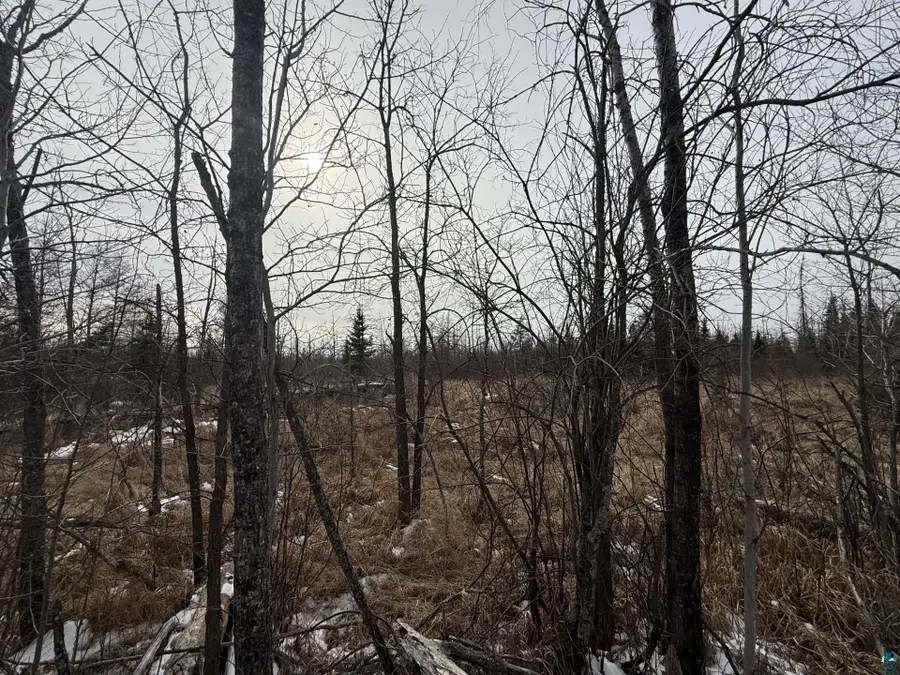 XXXX Hwy 133, Meadowlands, MN 55765 - #2