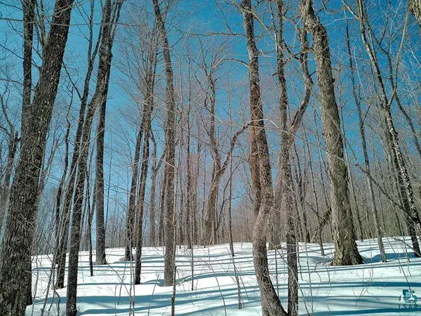 33 Hillside Dr, Lutsen, MN 55612