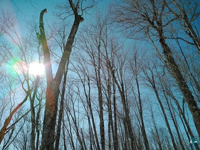 33 Hillside Dr, Lutsen, MN 55612 - #2