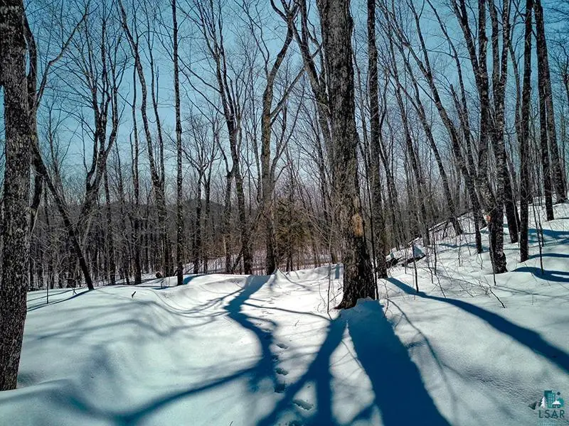 33 Hillside Dr, Lutsen, MN 55612 - #3