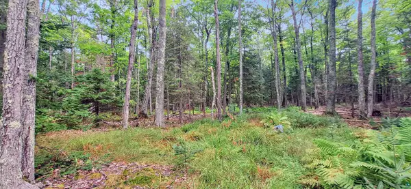 657 Spruce Ln, LaPointe, WI 54850