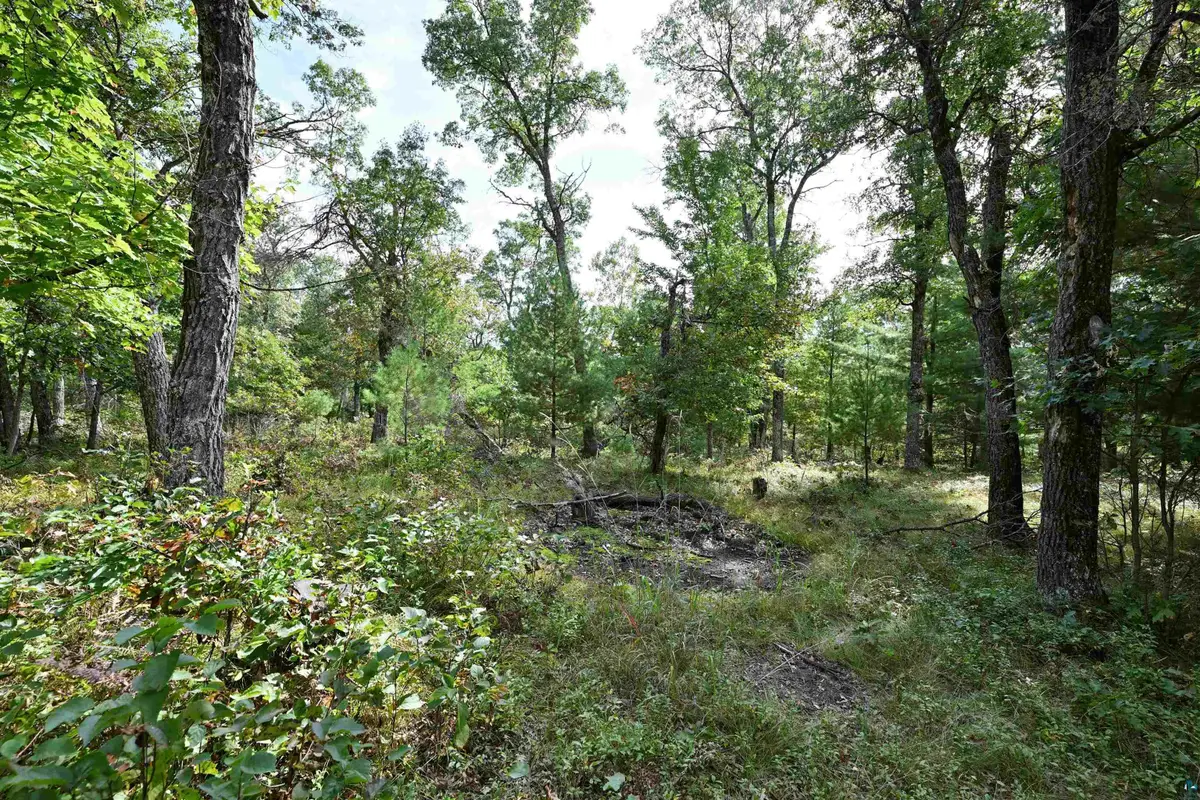 Lot 3 Dragon Dr, Minong, WI 54859 - #1