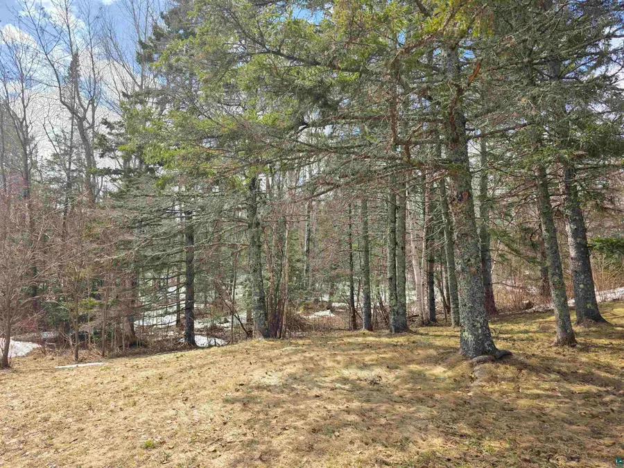 1431 Press Camp Rd, Two Harbors, MN 55616 - #2