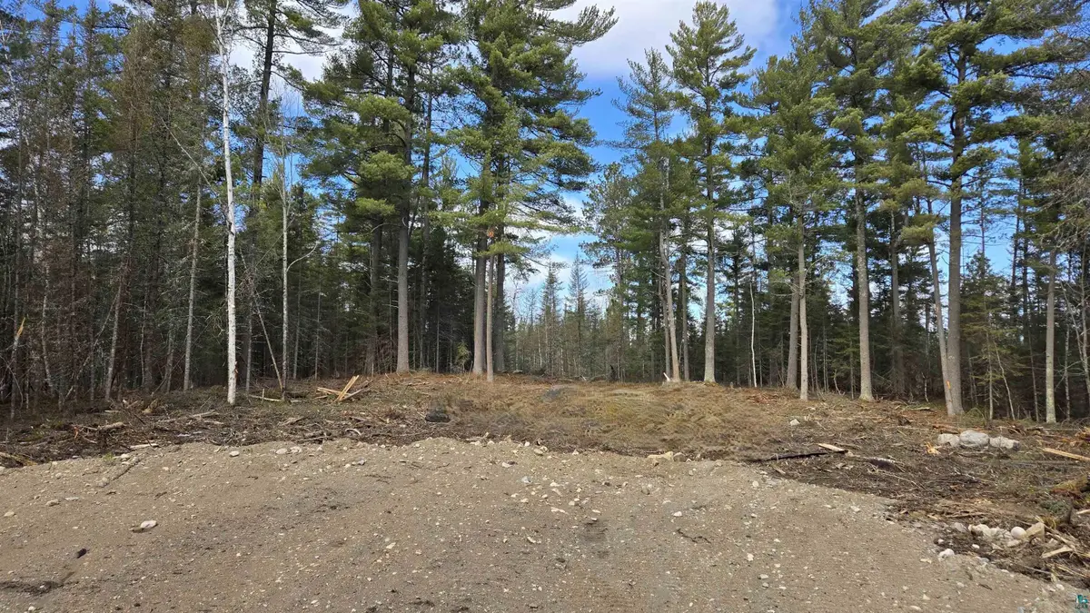 XX13.7 Crane Lake Rd, Crane Lake, MN 55725 - #1