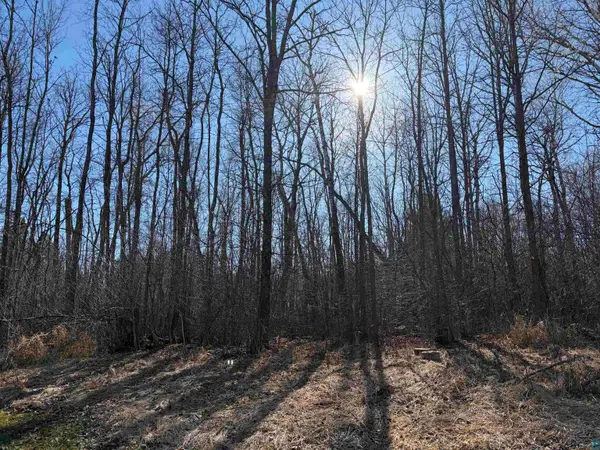 xxx Grove Ave, Moose Lake, MN 55767