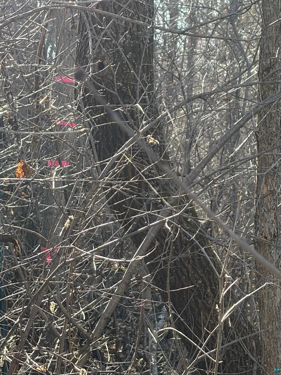 xxx Grove Ave, Moose Lake, MN 55767 - #2