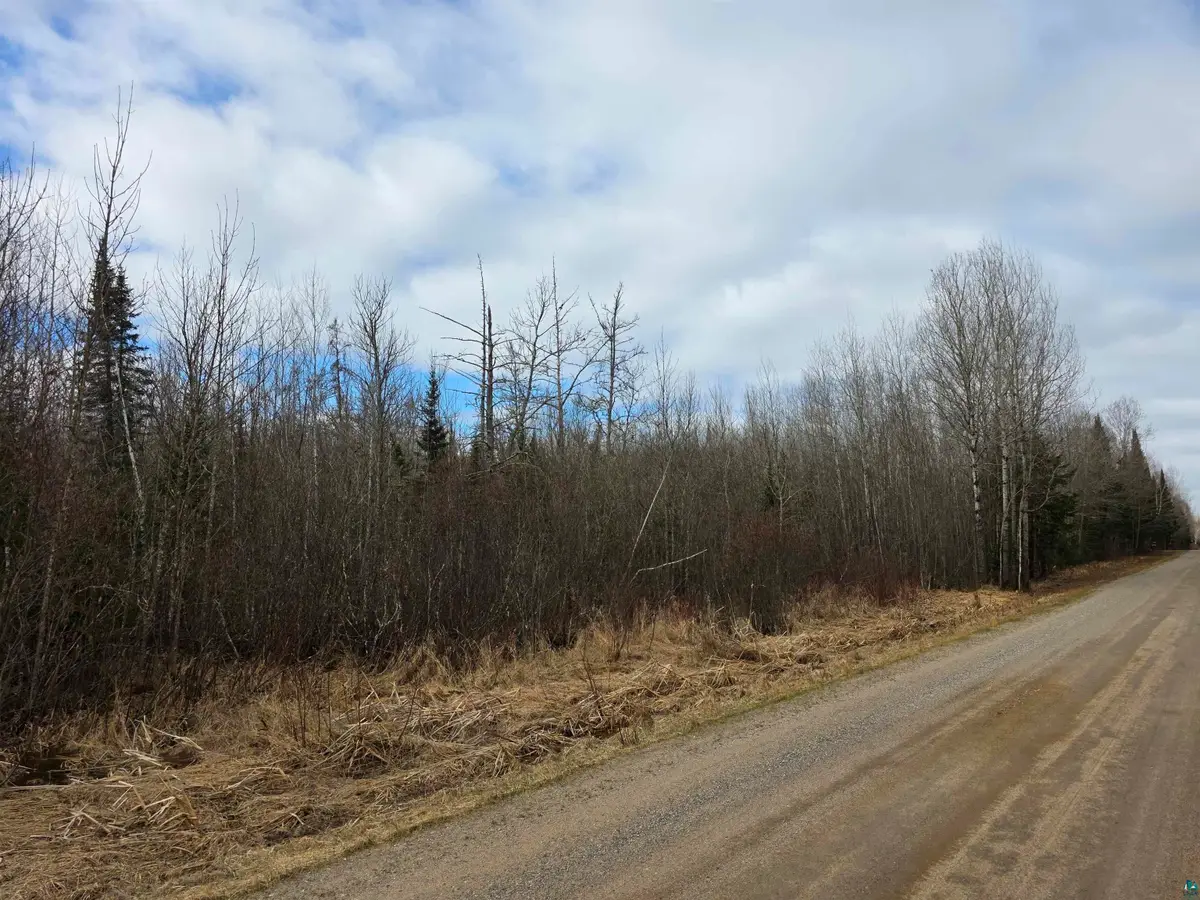 10918 Oja Rd, Hibbing, MN 55746 - #1