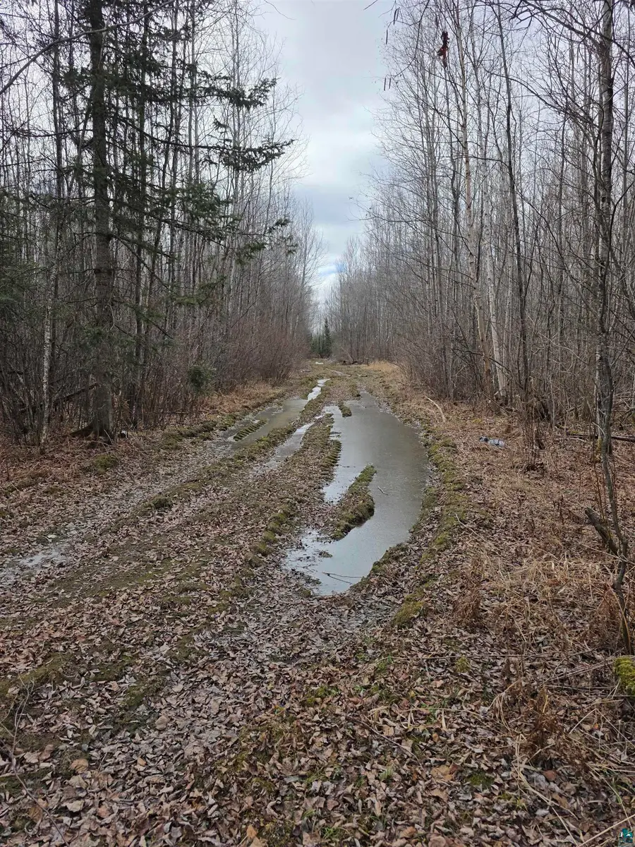 10918 Oja Rd, Hibbing, MN 55746 - #2