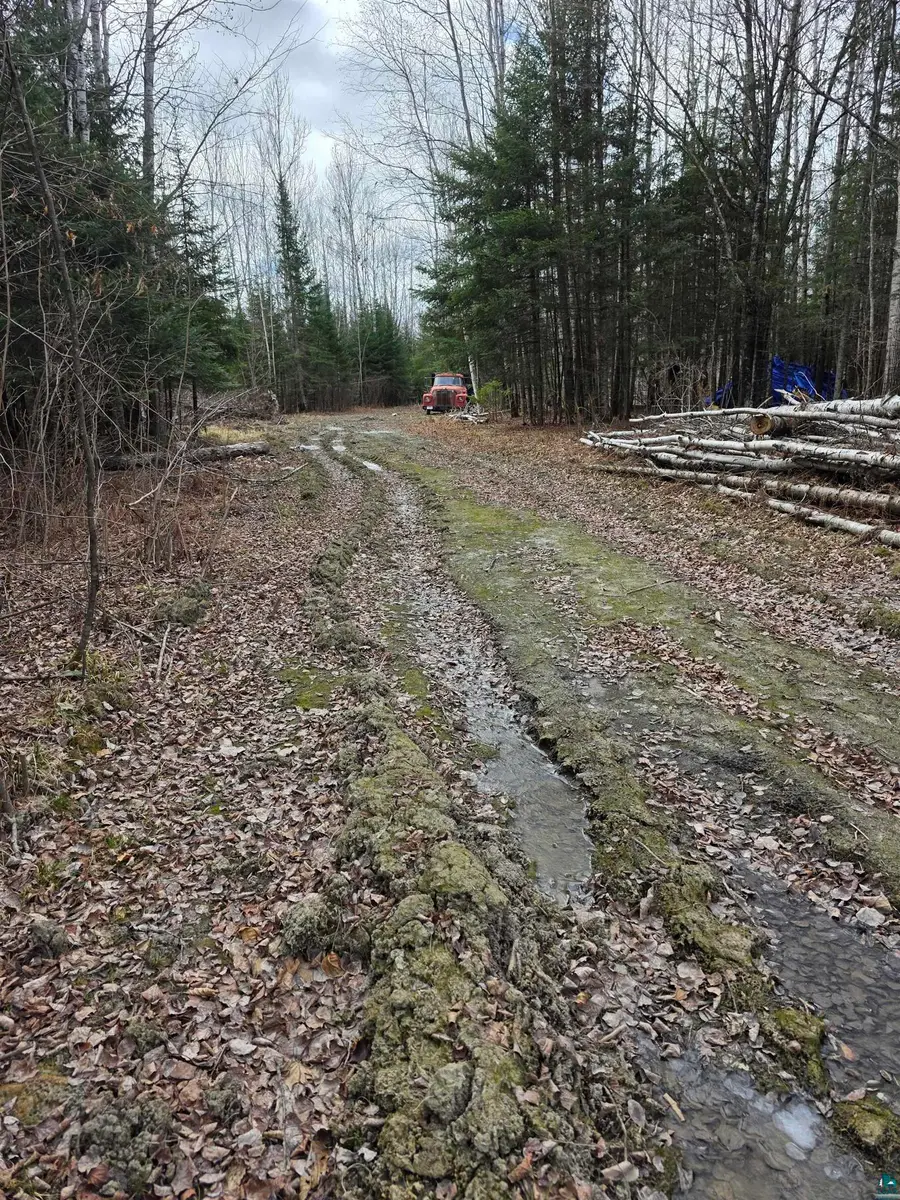 10918 Oja Rd, Hibbing, MN 55746 - #3