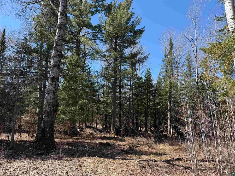 115 Marks Rd, Esko, MN 55733 - #2